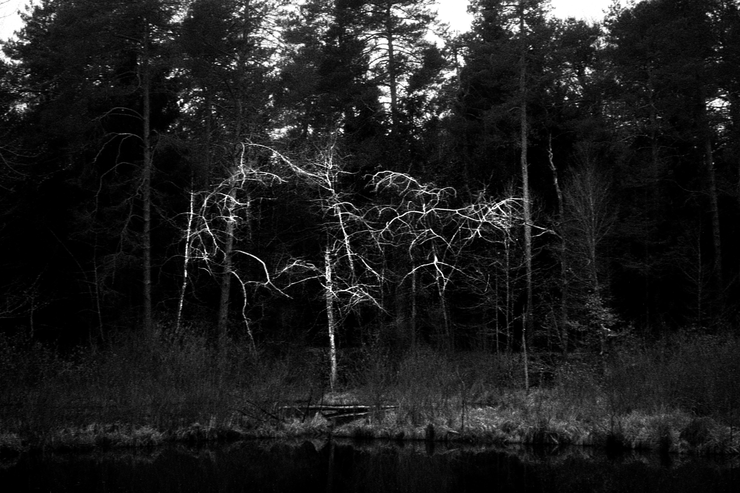 Pia Arhija Mother Nature2